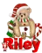 Christmas Bear Riley