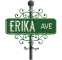 green street sign erika AVE