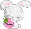 tracy bunny