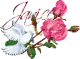 White dove pink roses - Janice