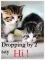 droping by to/2 say hi!small cats,kittens
