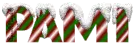 snow candy cane pami