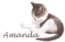 Amanda 2