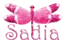 hot pink dragonfly sadia