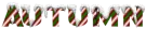 snow candy cane autumn