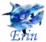 Erin - Dolphins