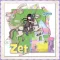 Zet