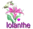 iolanthe