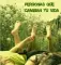 Personas que cambian tu vida