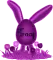 Bunny egg-Tracy