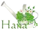 hana