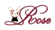 Rose