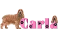 Dog Name Tag with Carla