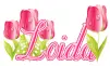 tulips loida