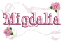 pink roses migdalia