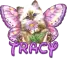 Tracy