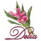 Pink Lily: Delia