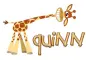 giraffe quinn