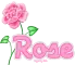 Rose