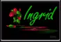 Neon Tulips: Ingrid