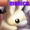 bunny