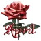 dark red rose april