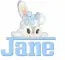 rabbit-Jane