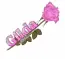 Pink rose, Gilda