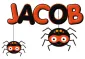 Spider Jacob