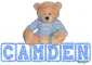 Baby Boy Bear - Camden