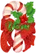 Yam