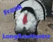 Frank Turkey