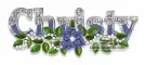 Christy-blue poinsettia