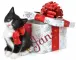 cute cate JANE