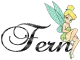 Fern