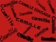 camille is the girl