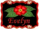 Evelyn