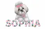 CUTE DOG SOPHIA