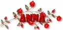 RED ROSE 