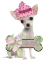 Jane