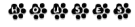 houses