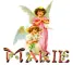 MARIE ANGELS