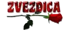ZVEZDICA