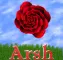 Arsh