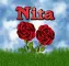 Nita