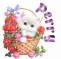 cute cat perry