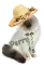 cute cat perry