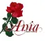 Ania
