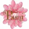 Pami