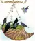 Shell and Birds